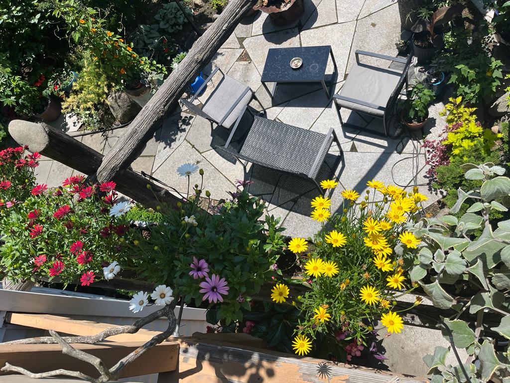 Garden pond with floating yellow flowers